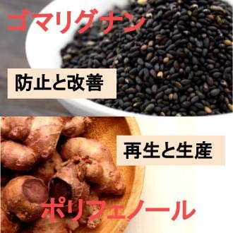 Amazon | 「黒椿」 黒ゴマ 黒ウコン 亜鉛 ビオチン 90粒 30日分
